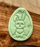 Easter Bunny Cookie Embosser and Cutter | Fondant cutter | Cookie stamp (EA-IOT)